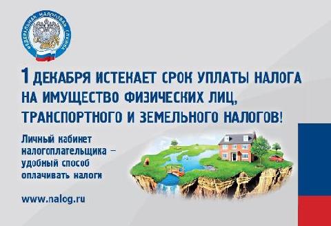 Фнс информирует картинки